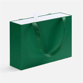 {{photo.Alt || photo.Description || 'Коробка Regalis, зеленая'}}