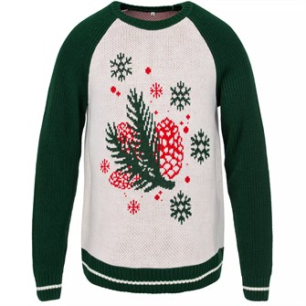 {{photo.Alt || photo.Description || 'Джемпер Sosnovka'}}