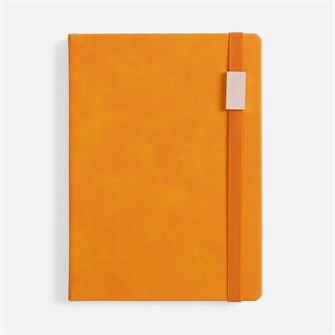 {{photo.Alt || photo.Description || 'Ежедневник Urban Metal, недатированный, оранжевый'}}