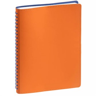 {{photo.Alt || photo.Description || 'Ежедневник Spring Shall, недатированный, оранжевый'}}