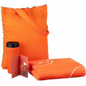 {{photo.Alt || photo.Description || 'Набор Tangerine Dream, оранжевый'}}