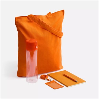 {{photo.Alt || photo.Description || 'Набор Luba Walk, оранжевый'}}