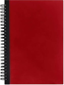 {{photo.Alt || photo.Description || 'Ежедневник Notera Maxi, недатированный, красный'}}