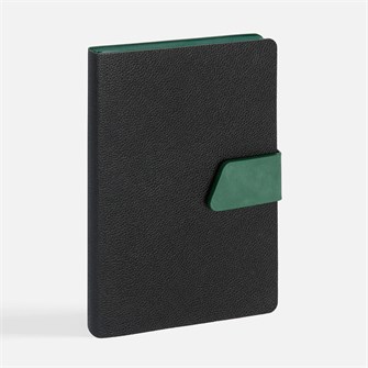 {{photo.Alt || photo.Description || 'Ежедневник Boom, недатированный, черный с зеленым'}}