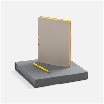 {{photo.Alt || photo.Description || 'Набор Flexpen Grey, желтый'}}