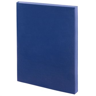 {{photo.Alt || photo.Description || 'Ежедневник Flat, недатированный, синий, ver.2'}}