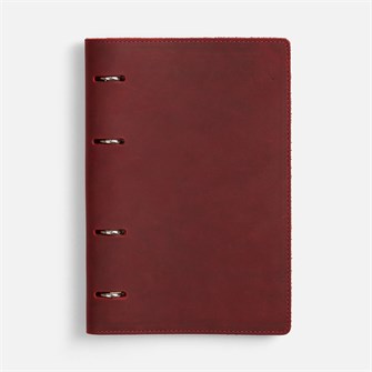 {{photo.Alt || photo.Description || 'Ежедневник inStream, недатированный, красный'}}