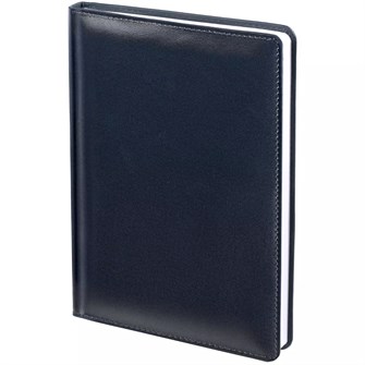 {{photo.Alt || photo.Description || 'Ежедневник Termini, недатированный, синий'}}