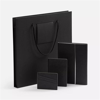 {{photo.Alt || photo.Description || 'Набор Petrus Flap, черный'}}