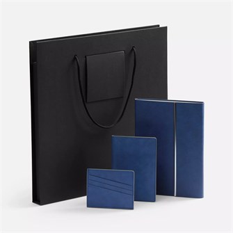 {{photo.Alt || photo.Description || 'Набор Petrus Flap, синий'}}