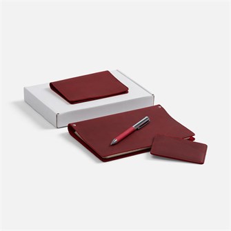 {{photo.Alt || photo.Description || 'Набор inStream Maxi, красный'}}