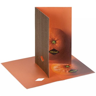 {{photo.Alt || photo.Description || 'Открытка «Мандарин удачи»'}}