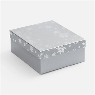 {{photo.Alt || photo.Description || 'Коробка Wintry, серебристая'}}