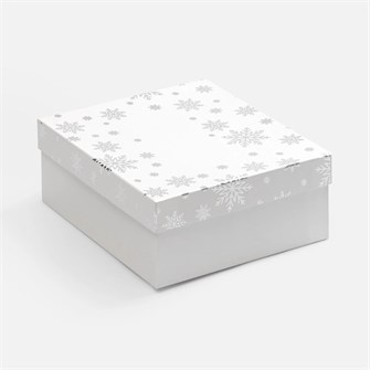 {{photo.Alt || photo.Description || 'Коробка Wintry, белая'}}