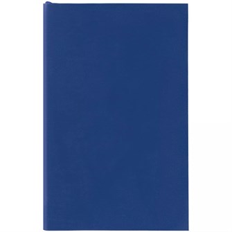 {{photo.Alt || photo.Description || 'Ежедневник Flat Mini, недатированный, синий'}}