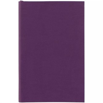 {{photo.Alt || photo.Description || 'Ежедневник Flat Mini, недатированный, фиолетовый'}}