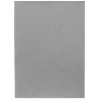 {{photo.Alt || photo.Description || 'Ежедневник Flat Light, недатированный, серый'}}