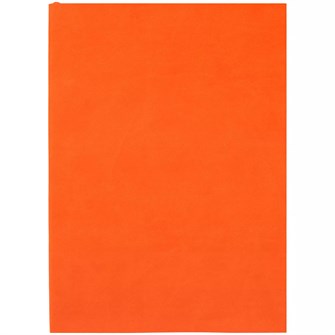 {{photo.Alt || photo.Description || 'Ежедневник Flat Light, недатированный, оранжевый'}}