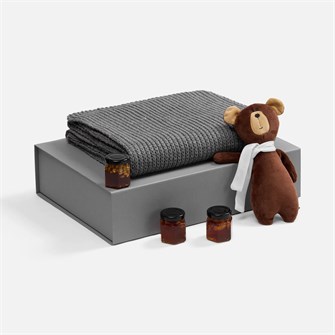 {{photo.Alt || photo.Description || 'Набор WinterWish, серый'}}