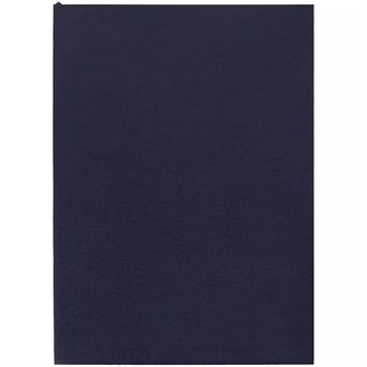 {{photo.Alt || photo.Description || 'Ежедневник Flat Light, недатированный, иссиня-черный'}}