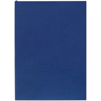 {{photo.Alt || photo.Description || 'Ежедневник Flat Light, недатированный, синий'}}