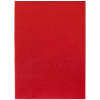 {{photo.Alt || photo.Description || 'Ежедневник Flat Light, недатированный, красный'}}