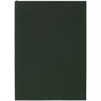 {{photo.Alt || photo.Description || 'Ежедневник Flat Light, недатированный, зеленый'}}