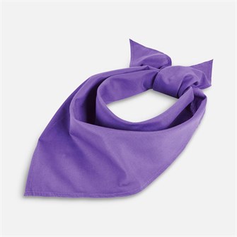 {{photo.Alt || photo.Description || 'Шейный платок Bandana, темно-фиолетовый'}}