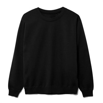 {{photo.Alt || photo.Description || 'Свитшот Toima 2.0, черный'}}