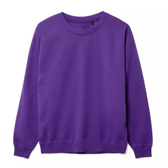 {{photo.Alt || photo.Description || 'Свитшот Toima 2.0, фиолетовый'}}