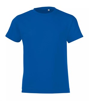 {{photo.Alt || photo.Description || 'Футболка детская Regent Fit Kids, ярко-синяя (royal)'}}