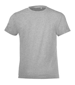 {{photo.Alt || photo.Description || 'Футболка детская Regent Fit Kids, серый меланж'}}