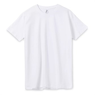 {{photo.Alt || photo.Description || 'Футболка унисекс Regent 150, белая'}}