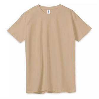 {{photo.Alt || photo.Description || 'Футболка унисекс Regent 150, песочная'}}