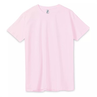 {{photo.Alt || photo.Description || 'Футболка унисекс Regent 150, светло-розовая'}}