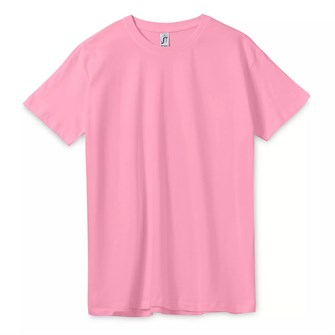 {{photo.Alt || photo.Description || 'Футболка унисекс Regent 150, розовая орхидея'}}