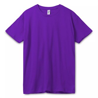 {{photo.Alt || photo.Description || 'Футболка унисекс Regent 150, темно-фиолетовая'}}