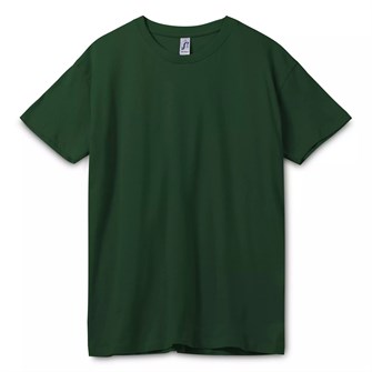 {{photo.Alt || photo.Description || 'Футболка унисекс Regent 150, темно-зеленая'}}