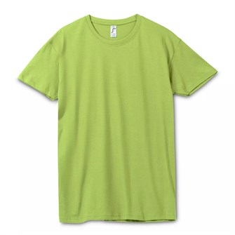 {{photo.Alt || photo.Description || 'Футболка унисекс Regent 150, зеленое яблоко'}}