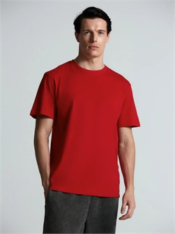 {{photo.Alt || photo.Description || 'Футболка унисекс Streetwise, красная'}}