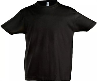 {{photo.Alt || photo.Description || 'Футболка детская Imperial Kids, черная'}}