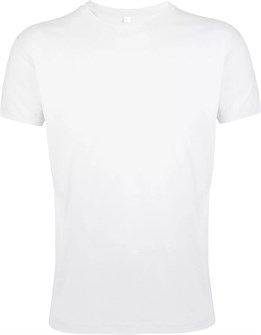 {{photo.Alt || photo.Description || 'Футболка мужская Regent Fit 150, белая'}}