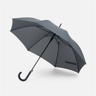 {{photo.Alt || photo.Description || 'Зонт-трость Rainolla, серый'}}