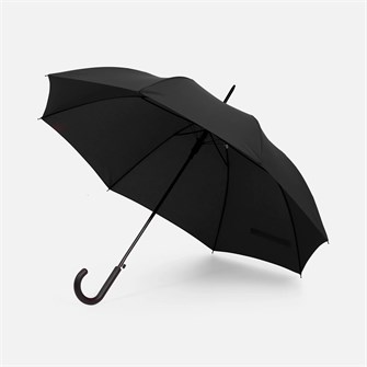 {{photo.Alt || photo.Description || 'Зонт-трость Rainolla, черный'}}