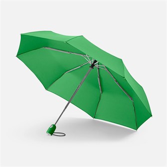 {{photo.Alt || photo.Description || 'Зонт складной AOC, светло-зеленый'}}