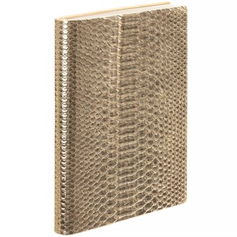 {{photo.Alt || photo.Description || 'Ежедневник Anaconda, недатированный, золотистый'}}