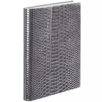 {{photo.Alt || photo.Description || 'Ежедневник Anaconda, недатированный, серебристый'}}