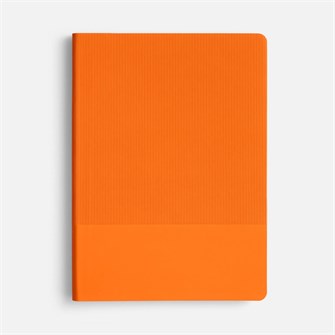 {{photo.Alt || photo.Description || 'Ежедневник Vale New, недатированный, оранжевый'}}