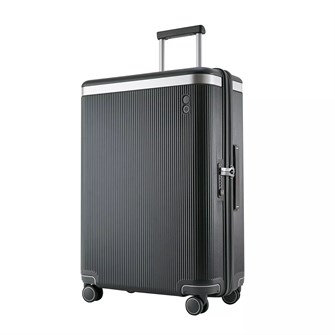 {{photo.Alt || photo.Description || 'Чемодан Dynasty M, темно-серый'}}