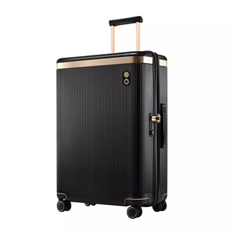 {{photo.Alt || photo.Description || 'Чемодан Dynasty M, черный'}}